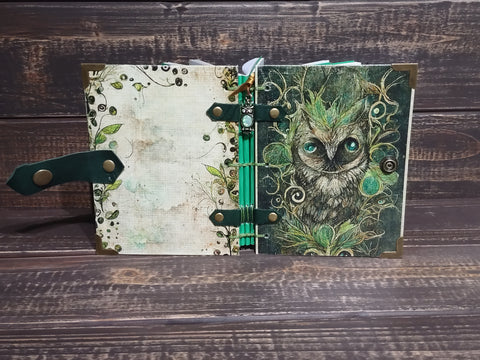 Green Owl Journal/Sletchbook/Grimoire $70)