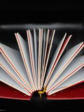 Red Dragon Eye Grimoire Journal $150