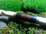 Dragon's Blood Ash Master Protection Magic Wand