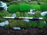 Dragon's Blood Ash Master Protection Magic Wand