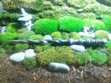 Midnight Opal Maple Magic Wand